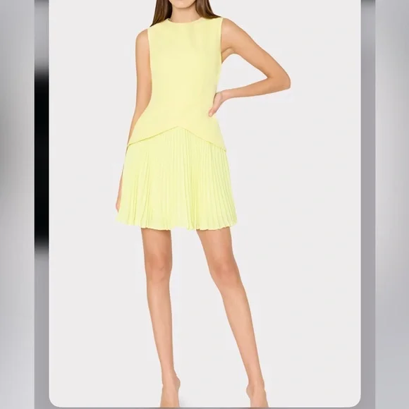 milly haddy sleeveless pleated mini dress Milly Haddy Pleated Mini Dress by Milly
